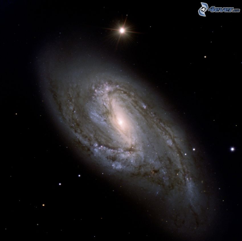 M66, špirálová galaxia, hviezdy