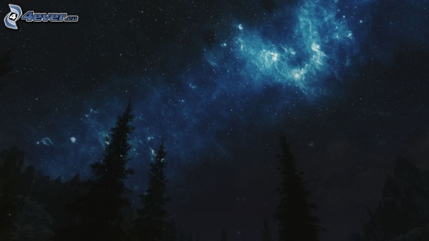 nočná obloha, siluety stromov, hviezdy