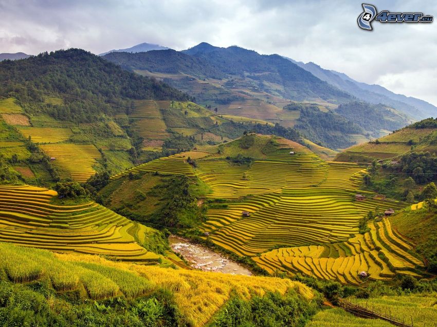 vietnamské ryžové polia, pohorie