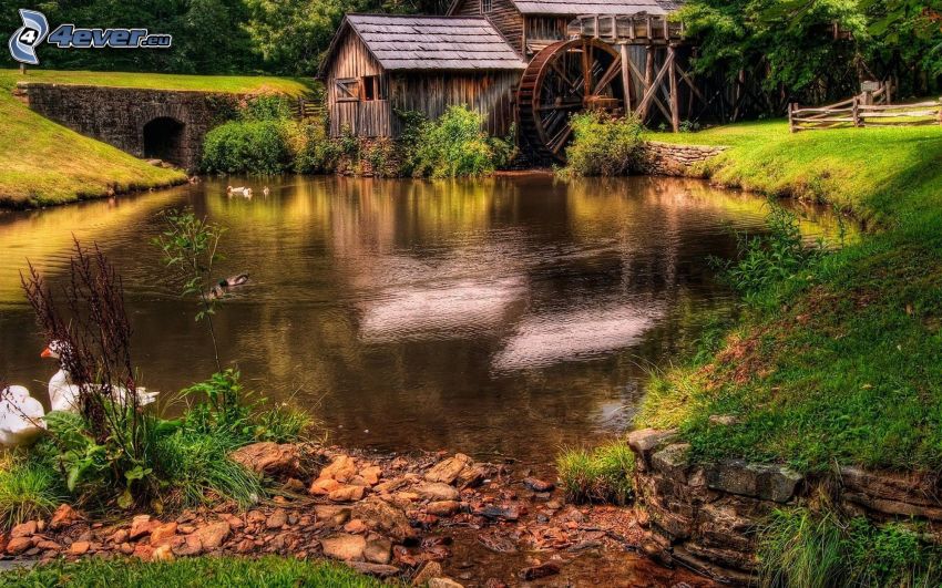 vodný mlyn, chata, rybník