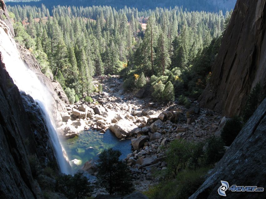 vodopád v Yosemitskom národnom parku, les