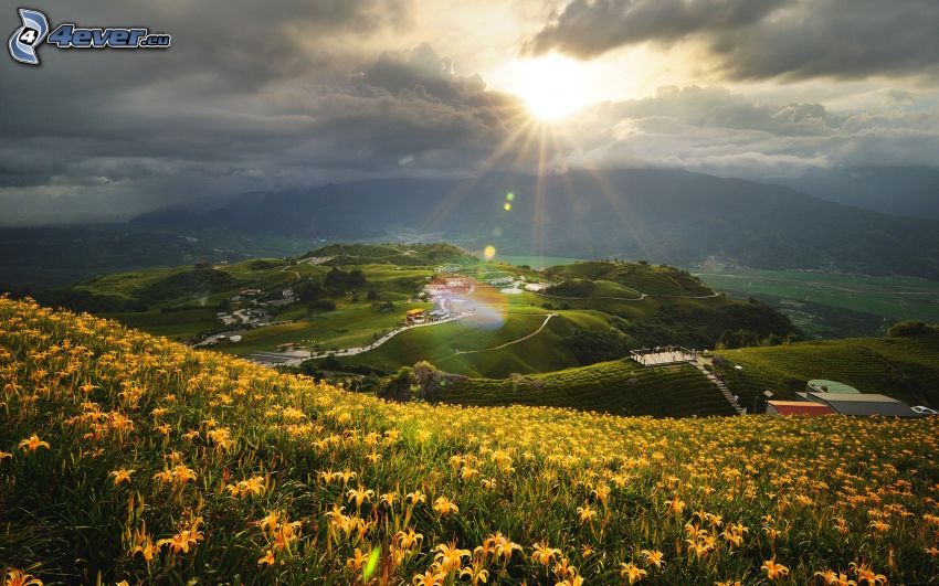 výhľad na krajinu, dedinka v údolí, lúka, žlté kvety, slnečné lúče za oblakom, kopce