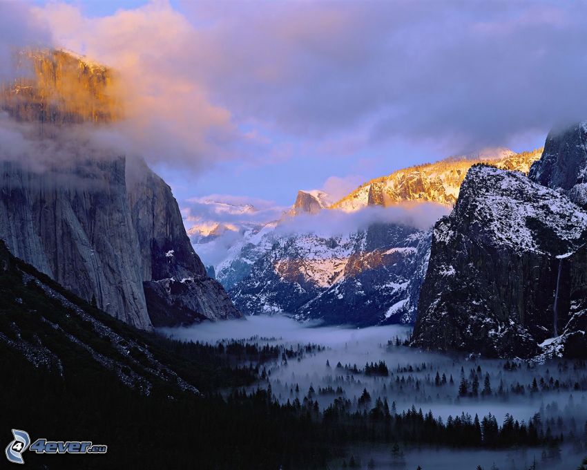 Yosemitské údolie, tmavý les, prízemná hmla