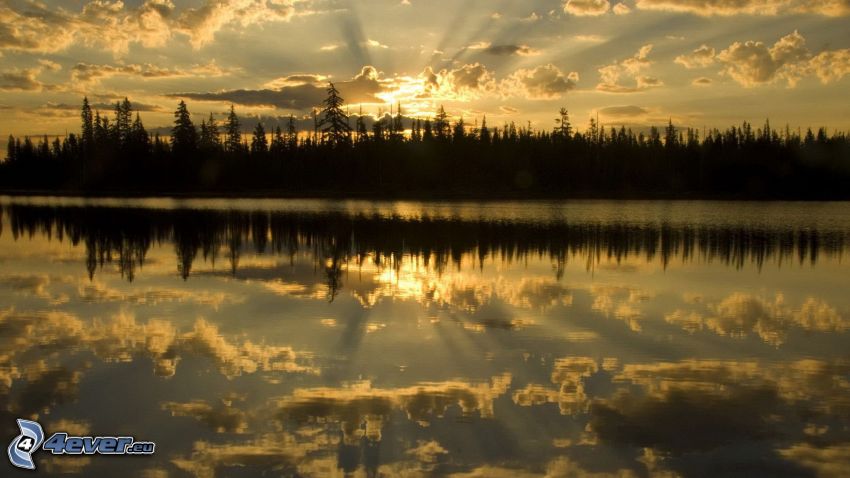 západ slnka za lesom, jazero, odraz, pokojná vodná hladina