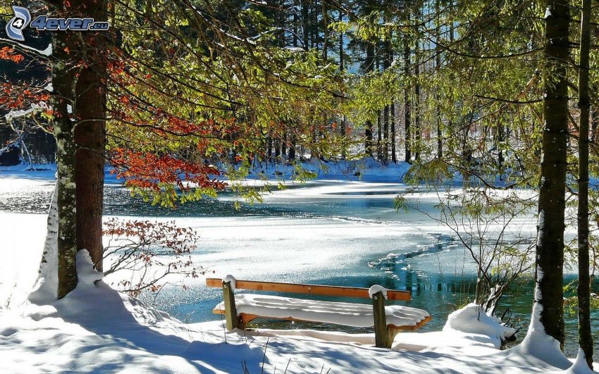 zasnežená krajina, lavička, jazero, les, sneh