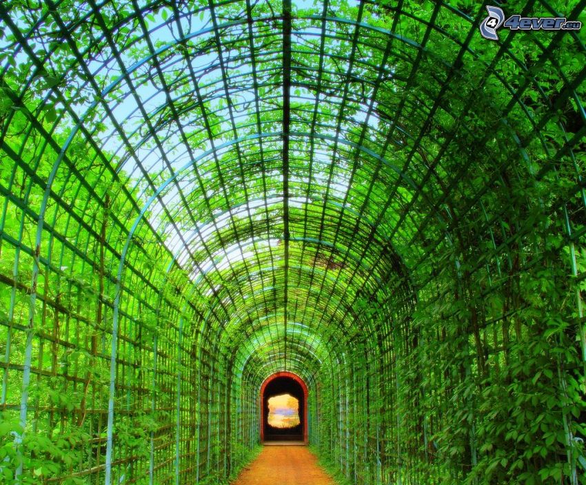 zelený tunel, brána