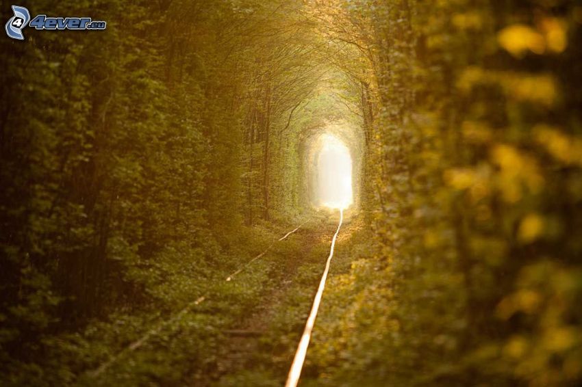 železnica, zelený tunel, svetlo