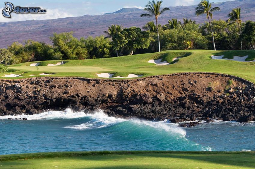 golfové ihrisko, vlny, palmy