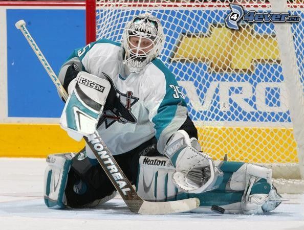 San José Sharks, brankár, NHL