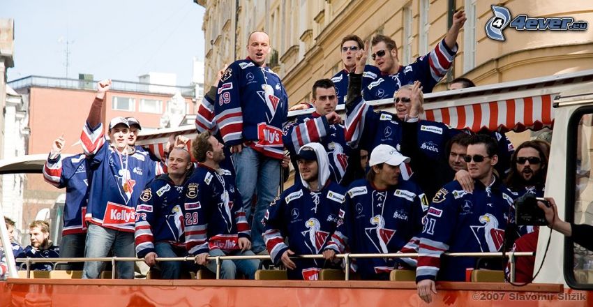 Slovenský hokejový tím