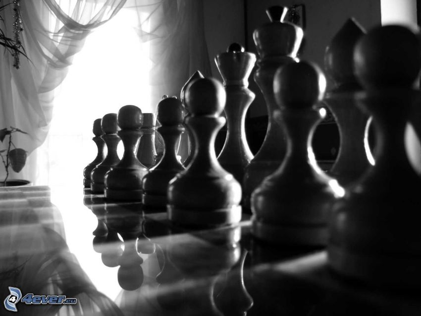 šach, šachové figúrky, čiernobiela fotka