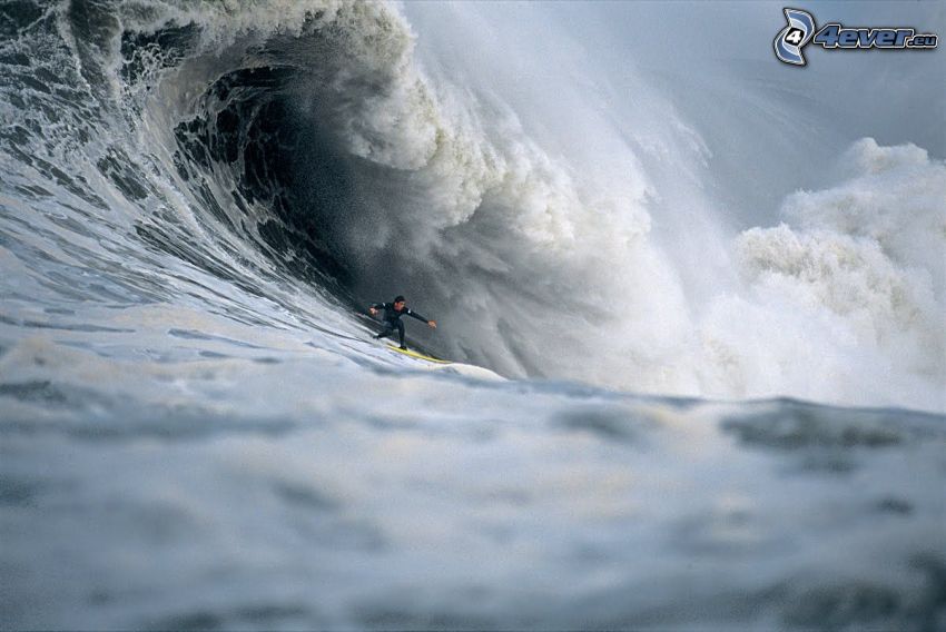 surfovanie, vlna, more