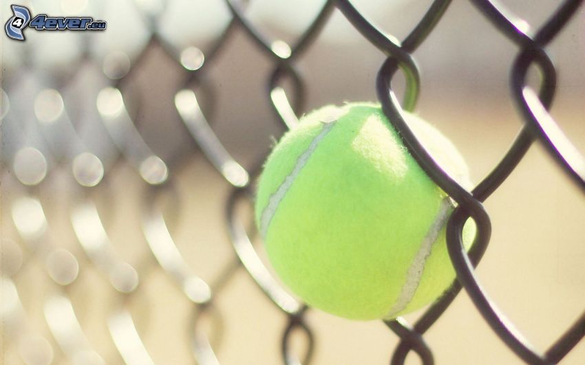 tenisová loptička, drôtený plot