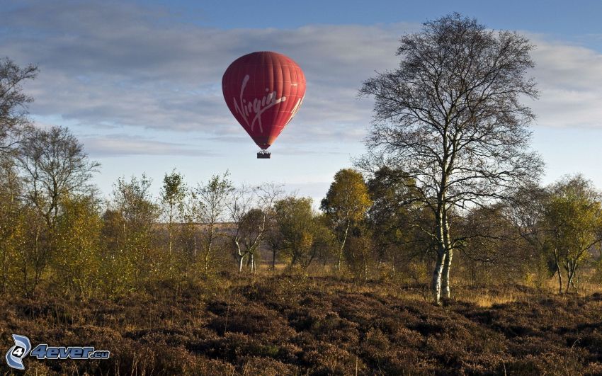 teplovzdušný balón, stromy