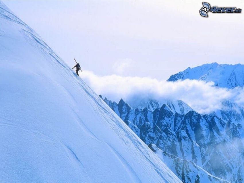 skialpinista, adrenalín, lyžiar, hory