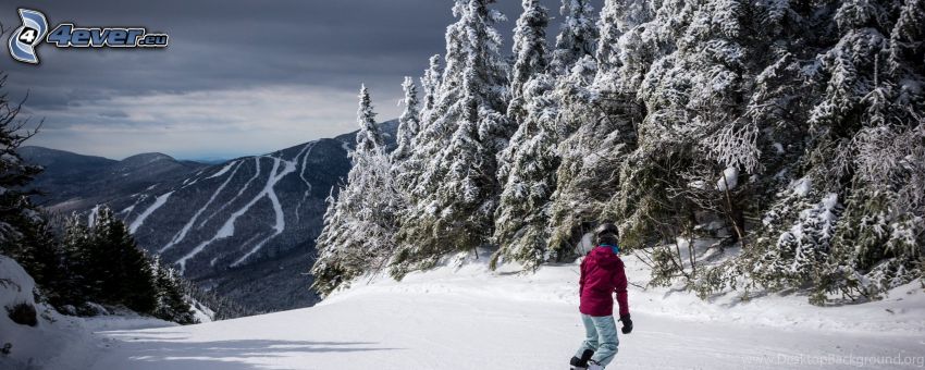 snowboarding, svah, zasnežený les, zasnežené pohorie