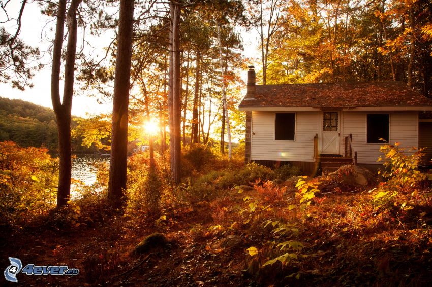 domček, jesenné stromy