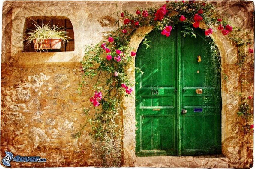 dvere, ružové kvety