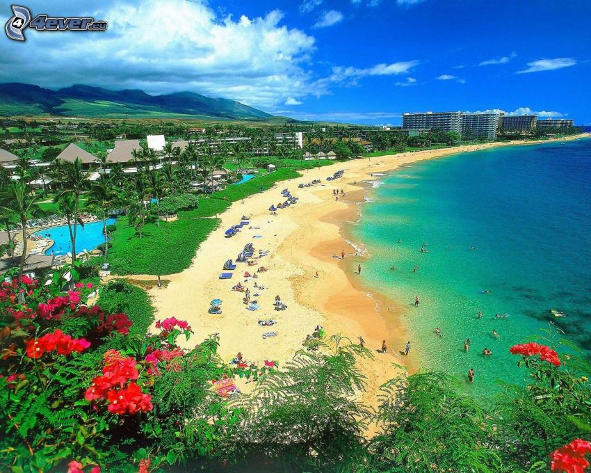 Havaj, pláž, more