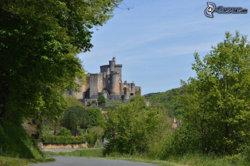 château de Bonaguil, cesta, stromy