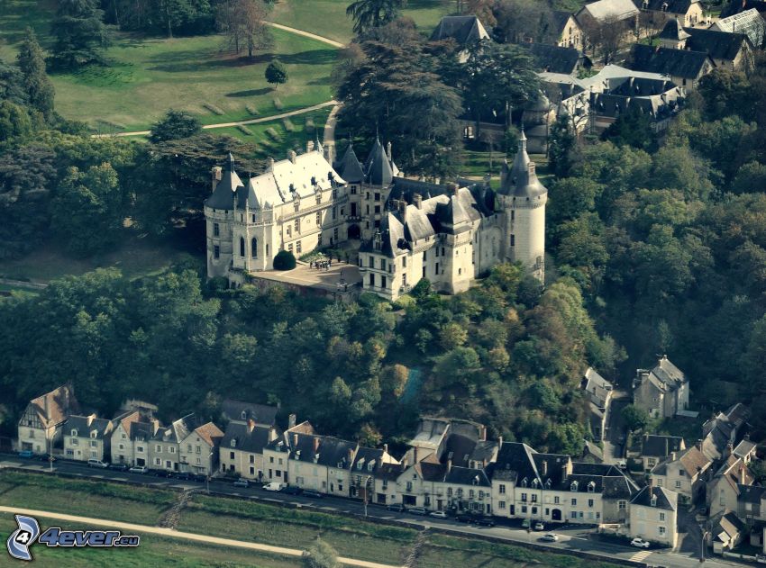 Château de Chaumont, stromy