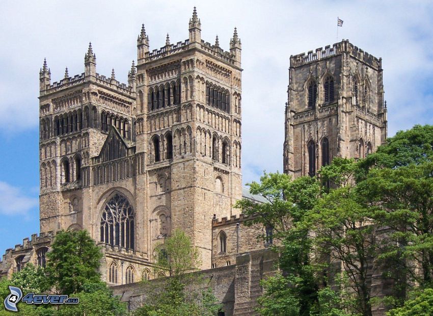 Durhamská katedrála, stromy, veže