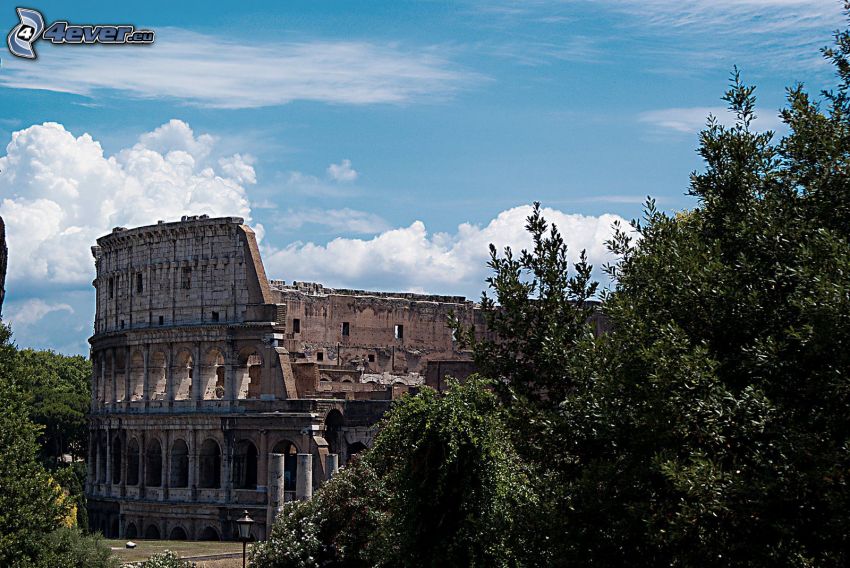 Koloseum, Rím, Taliansko, stromy