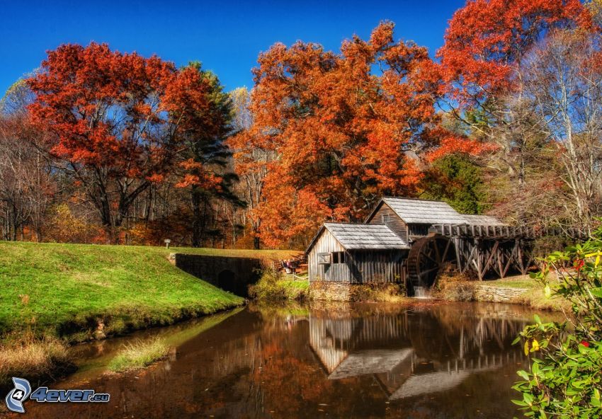 Mabry Mill, jesenné stromy, rieka, odraz