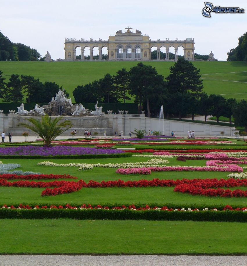 Schönbrunn, Viedeň, záhrada, trávnik, tráva, kvety, budova, fontána