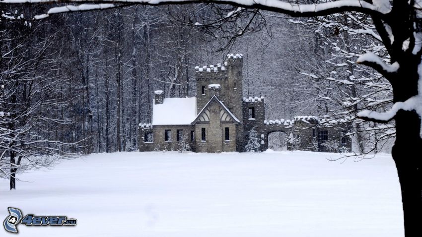 Squire's Castle, hrad, zasnežený les, sneh