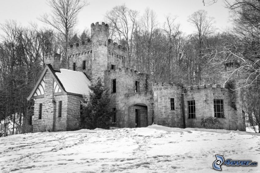 Squire's Castle, les, sneh, čiernobiela fotka