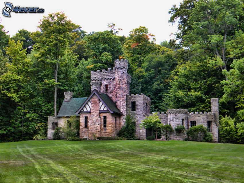 Squire's Castle, les, trávnik