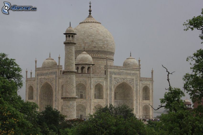 Tádž Mahal, stromy