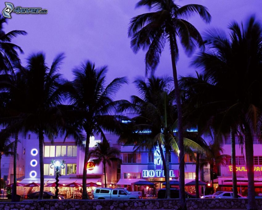 Miami, palmy, fialová obloha, hotel