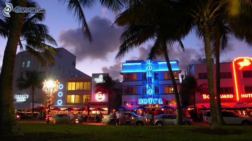 Miami, palmy, večer, osvetlený dom