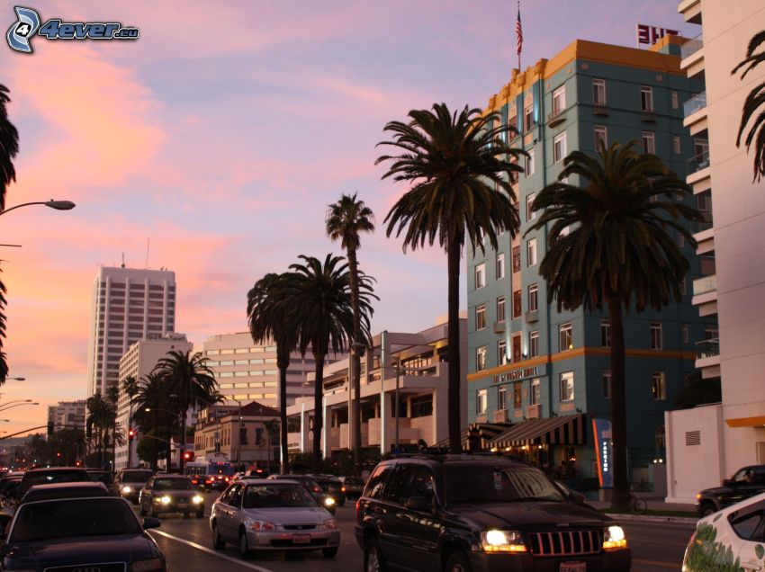 Santa Monica, večerné mesto, palmy, cesta