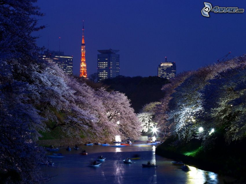 Tokio, rieka, kajak, stromy, nočné mesto