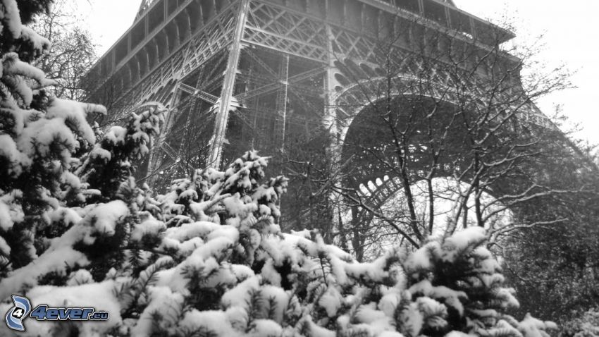 Eiffelova veža, zasnežený strom, čiernobiela fotka