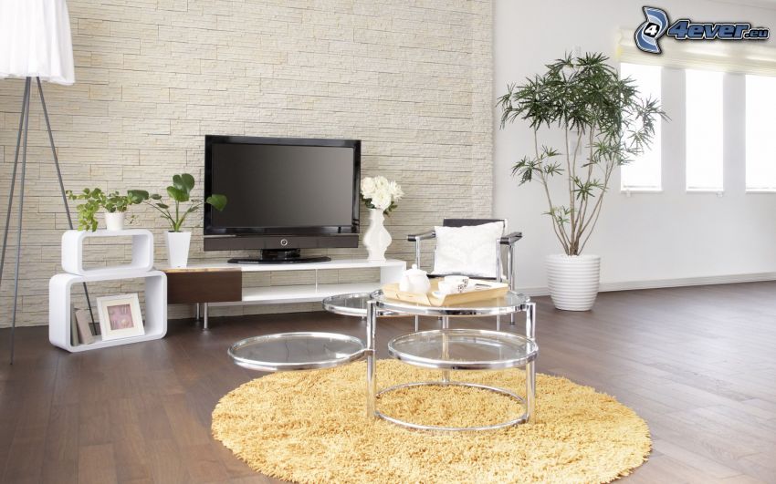 obývačka, televízor, kvety