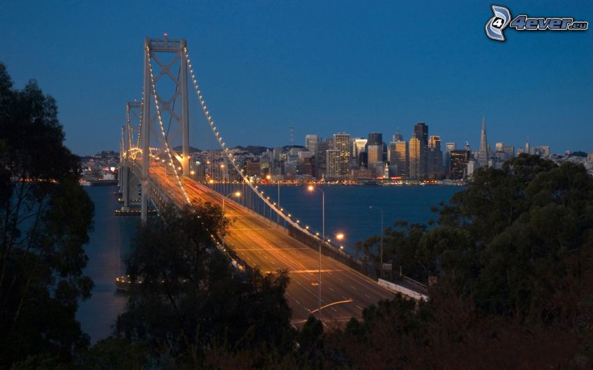 Bay Bridge, San Francisco, USA, večer, osvetlený most, stromy