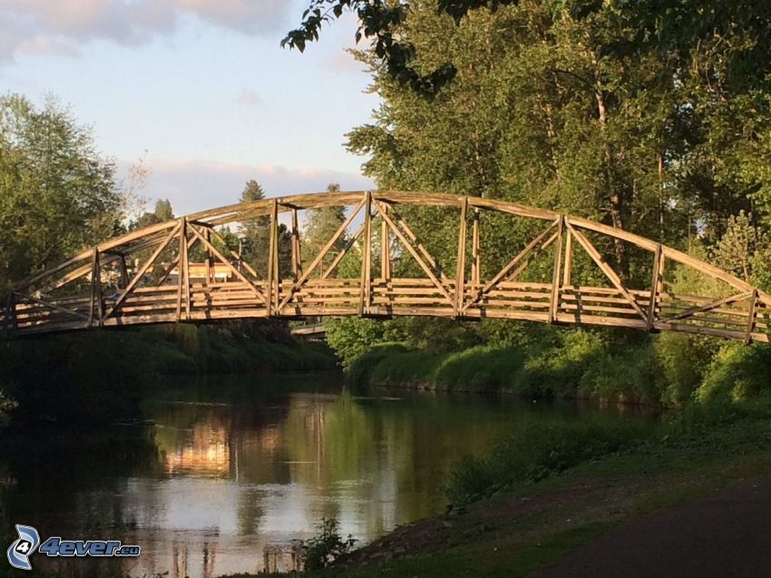 Bothell Bridge, drevený most, rieka, les
