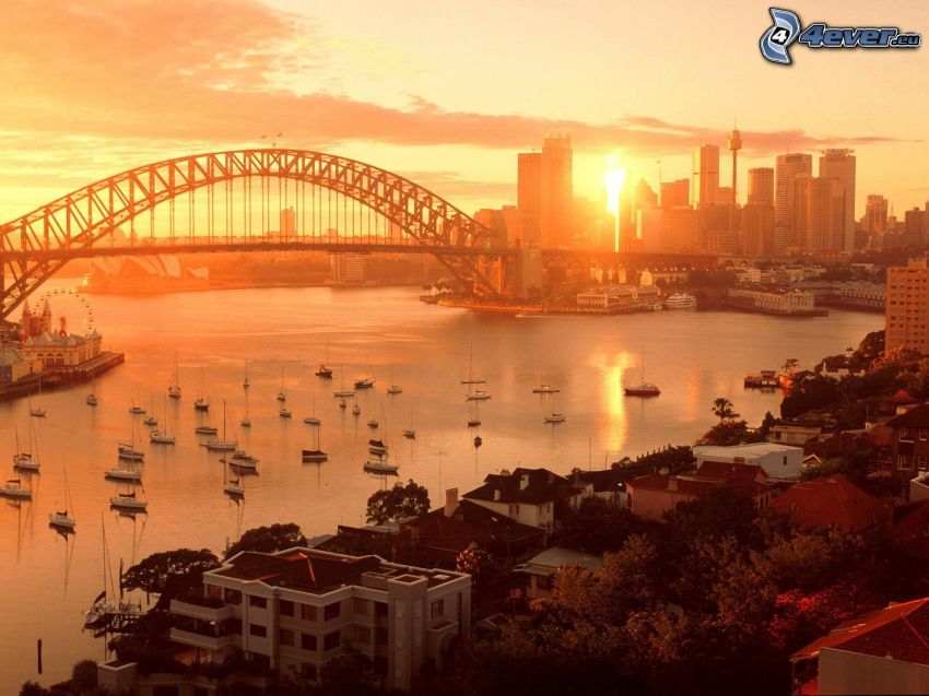 Sydney Harbour Bridge, západ slnka v meste, most, jachty, more, mrakodrapy
