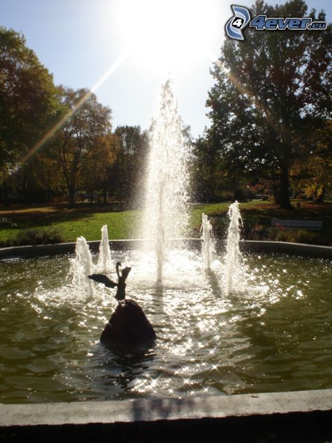 fontána, park