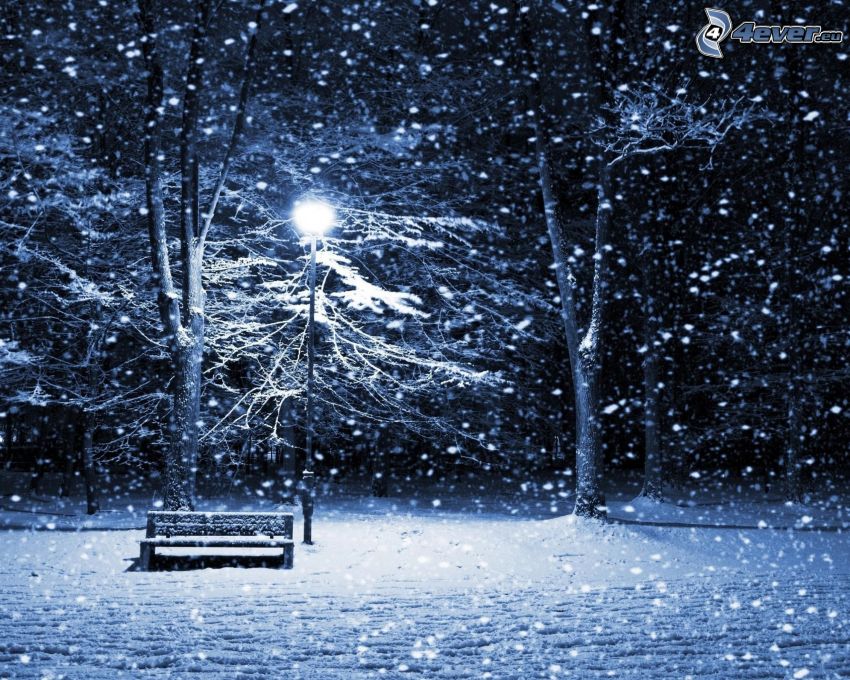 lavička v parku, zasnežená lavička, svetlo, sneh, stromy