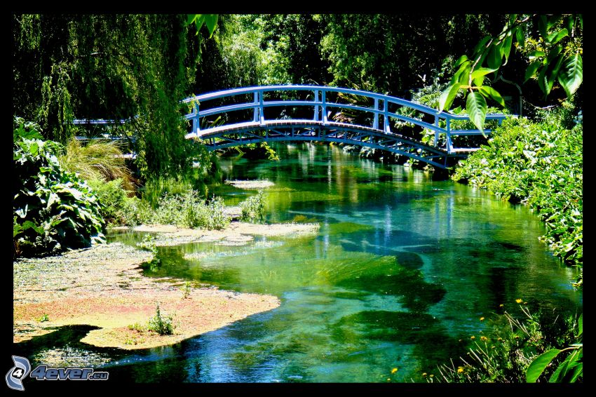 peší most, rieka, zeleň