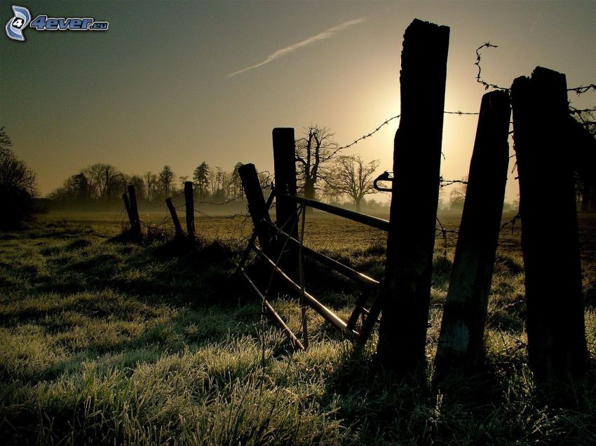 starý plot, drôtený plot, západ slnka za lúkou, stromy