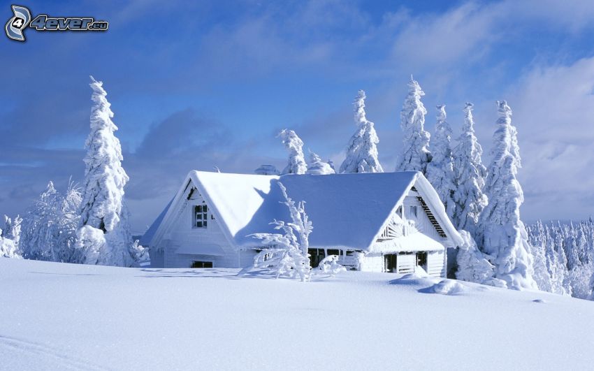 zasnežená chata, zasnežené stromy, sneh