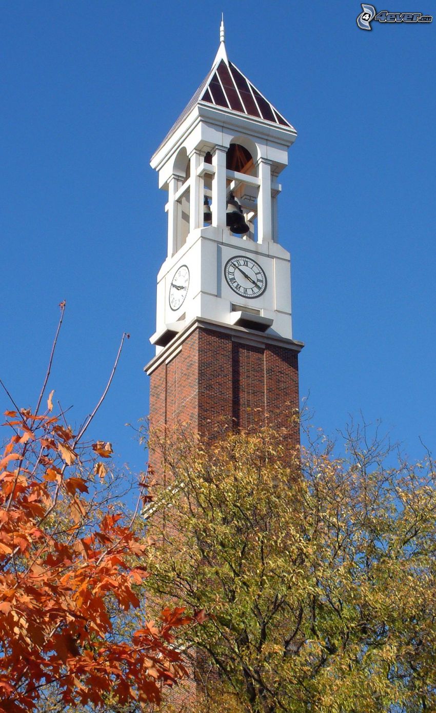 zvonica, hodiny, jesenné stromy