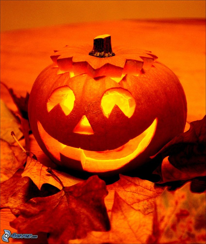 halloweenska tekvica, jack-o'-lantern, jesenné lístie