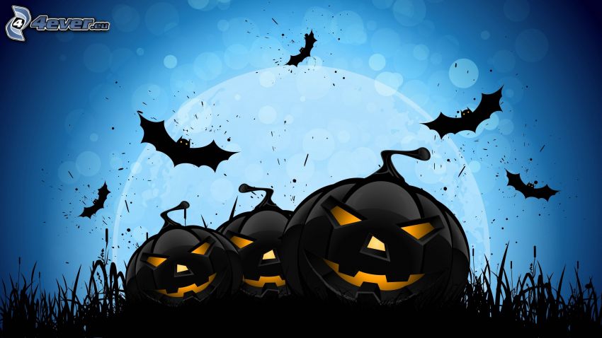 halloweenske tekvice, netopiere, modré pozadie, kreslené